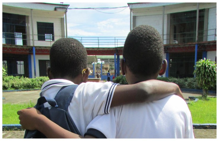 Informe Alterno: Situación de Derechos Humanos de niños, niñas y adolescentes en el municipio de Buenaventura, Valle del Cauca – Colombia 2013-2017.